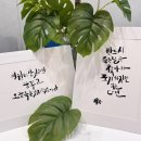 나도 캘리그라피 작가 | 붓펜 캘리그라피 배우기 ! 심율글씨문화연구실 이우진 작가님 염창역공방 다녀왔어요