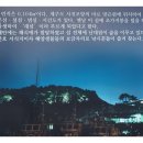 새섬 티스토리