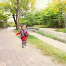 서연컬렉션
