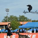 CAFE THE DOG 이미지