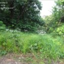 서리골천 이미지