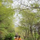 하루의 힐링 이미지