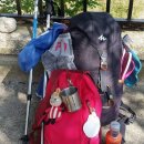 바우길 10구간 | 해파랑길, 그길이 알고싶다