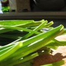 늘푸른건강마을 이미지