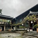 한정식 소나무 앞 이미지