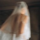 라파엘웨딩컴퍼니