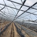 동그라미농장 이미지