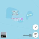 바다로 가는 사람들 | 홍스타투어와 함께하는 오키나와 바다거북 만나기 비용 가는길 솔직후기