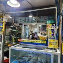 속초 설악항 회센터 횟집: 설악항 회센터 2호 &#34;상광호&#34; 선영이네, 신선한 자연산 활어회, 싱싱한 속초 앞바다 생선. 이미지