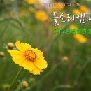 들소리캠핑장 | 28th 들소리캠핑장 (2013. 05. 24 ~ 26)