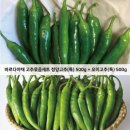 고추 - 여수시 여문문화2길 36 | 고추