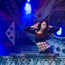 뉴캐슬나이트클럽 이미지