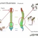 디오 메디칼 이미지