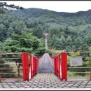 아우라지 출렁다리 이미지