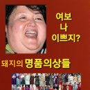 돼지의전성시대 이미지