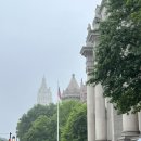 멍's랜드 | 자연사박물관, Joe's Pizza, 브라이언트파크, 국립...탑뷰 나이트투어ㅣ타미스 빅애플패스3 후기ㅣ4일차