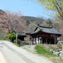 학정리석불 이미지