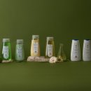 애플스파 이미지