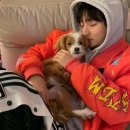 Happy tail 이미지