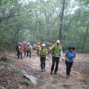 사기막골로 이미지