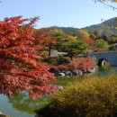 금강수목원 이미지