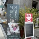 부케바이242 이미지