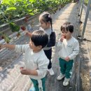 가천초등학교병설유치원 이미지