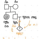 유전학 질문 이미지