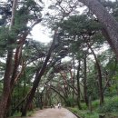 통도사로 이미지