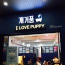 개거품그루밍 이미지