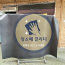 푸른세탁 이미지