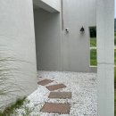 스테이 호은 이미지