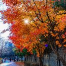 청계산수변공원 이미지