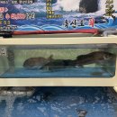 둔산의류타운