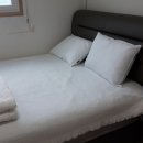 도그엔조이 이미지