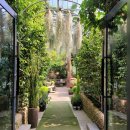 나라꽃 미니정원 이미지