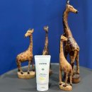 피에이치31(PH31) 이미지