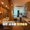미라클 | 서귀포 호텔징크 서귀포 올레시장 가성비 호텔 내돈내산 후기 룸타입