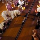 HOTEL DOIT 이미지