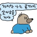 아리랑카센타 이미지