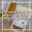 비염 때문에 차 바꿨더니 생긴 변화, 올바르다 유기농 작두콩차 한 달 후기