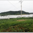 성송초등학교 이미지