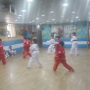 용인대쌍용태권도 이미지