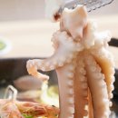 정가네 낙지마당 이미지