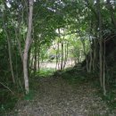 동백동산 이미지