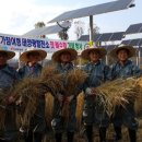 가평 태양광발전소 이미지