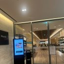 천등박달로 | [재천 여행] 몬도 키친 조식 전 메뉴 내 돈 내산 | 둥지치킨 솔직후기