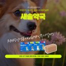 새솔약국 이미지