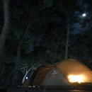 솔향기약국 이미지