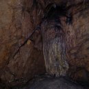 평화통일목장 이미지